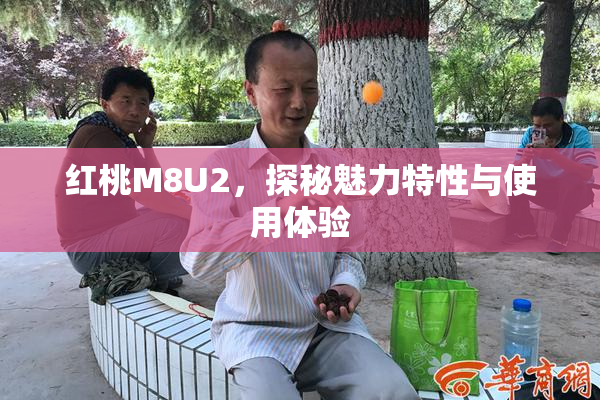 红桃M8U2，探秘魅力特性与使用体验