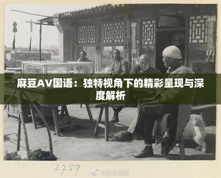 麻豆A∨国语：独特视角下的精彩呈现与深度解析