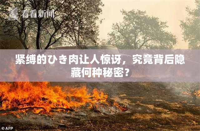 紧缚的ひき肉让人惊讶，究竟背后隐藏何种秘密？
