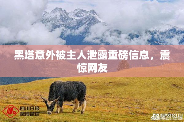 黑塔意外被主人泄露重磅信息，震惊网友