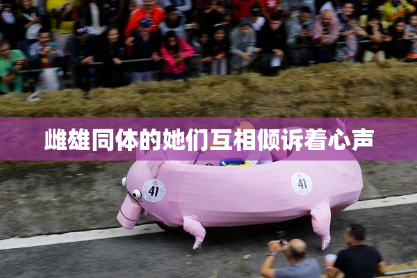 雌雄同体的她们互相倾诉着心声