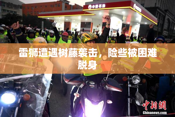 雷狮遭遇树藤袭击，险些被困难脱身