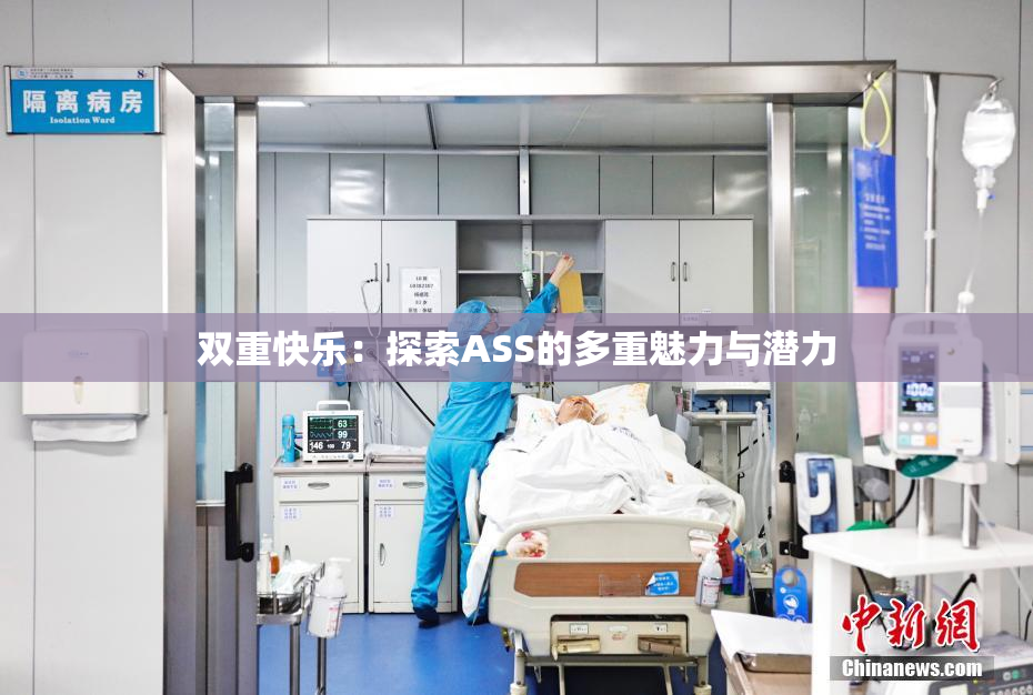 双重快乐：探索ASS的多重魅力与潜力