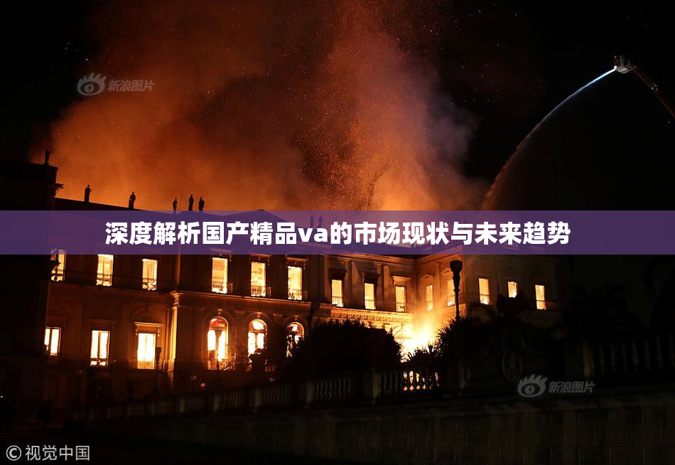 深度解析国产精品va的市场现状与未来趋势