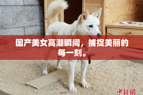国产美女高潮瞬间，捕捉美丽的每一刻。