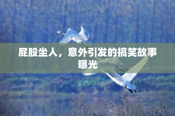屁股坐人，意外引发的搞笑故事曝光