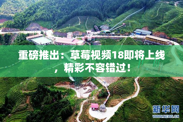 重磅推出：草莓视频18即将上线，精彩不容错过！