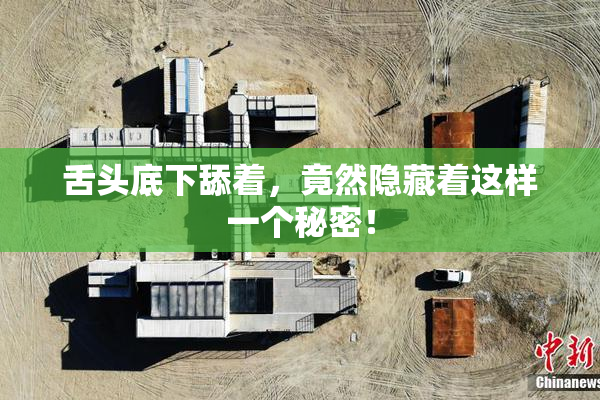 舌头底下舔着，竟然隐藏着这样一个秘密！
