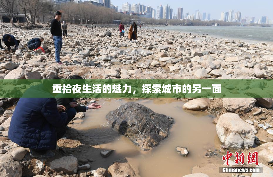 重拾夜生活的魅力，探索城市的另一面