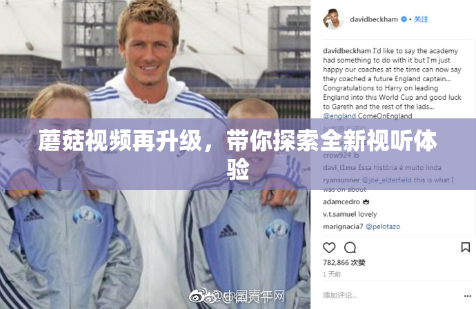 蘑菇视频再升级，带你探索全新视听体验