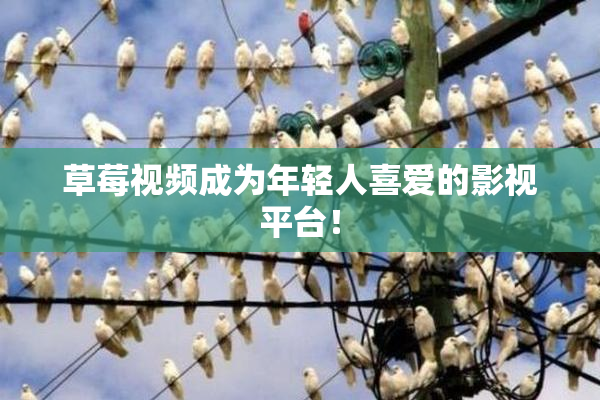 草莓视频成为年轻人喜爱的影视平台！