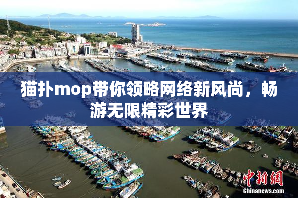 猫扑mop带你领略网络新风尚，畅游无限精彩世界