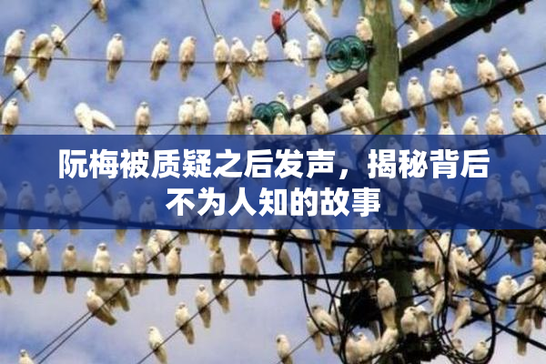 阮梅被质疑之后发声，揭秘背后不为人知的故事