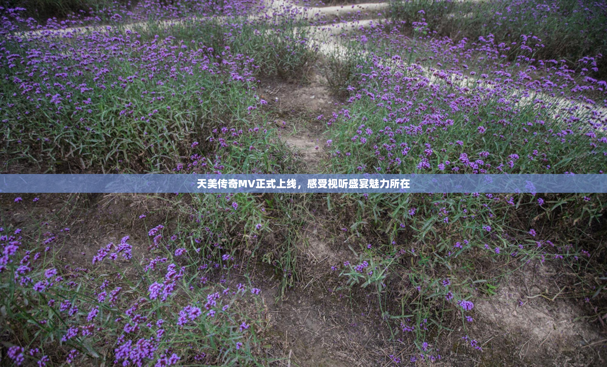 天美传奇MV正式上线，感受视听盛宴魅力所在