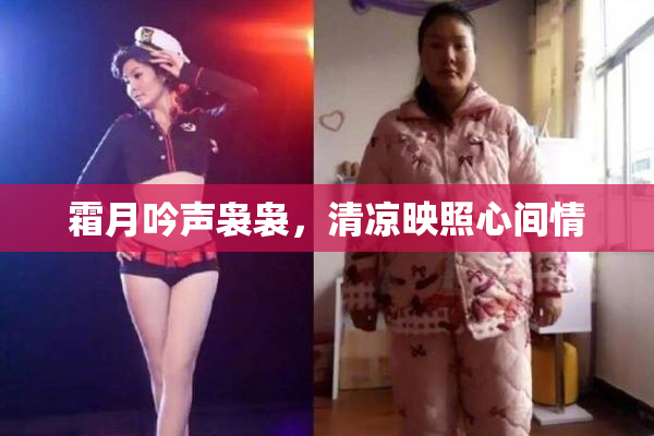 霜月吟声袅袅，清凉映照心间情