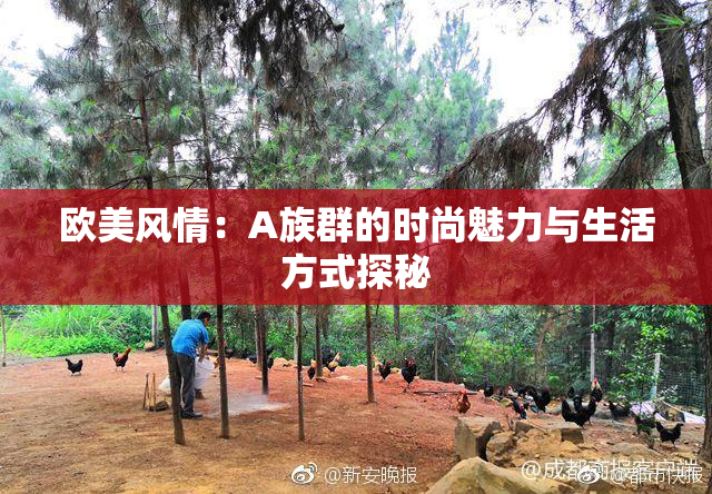 欧美风情：A族群的时尚魅力与生活方式探秘