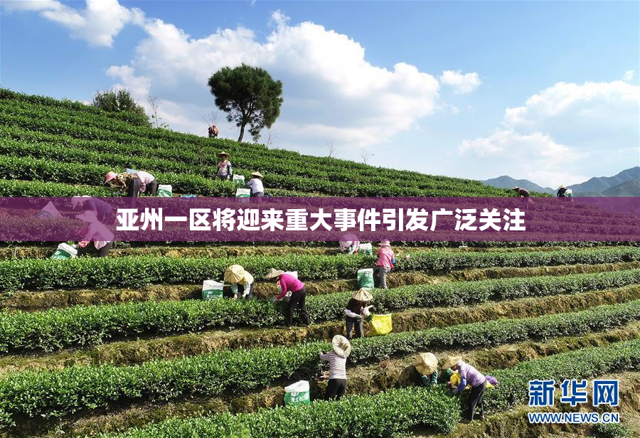 亚州一区将迎来重大事件引发广泛关注