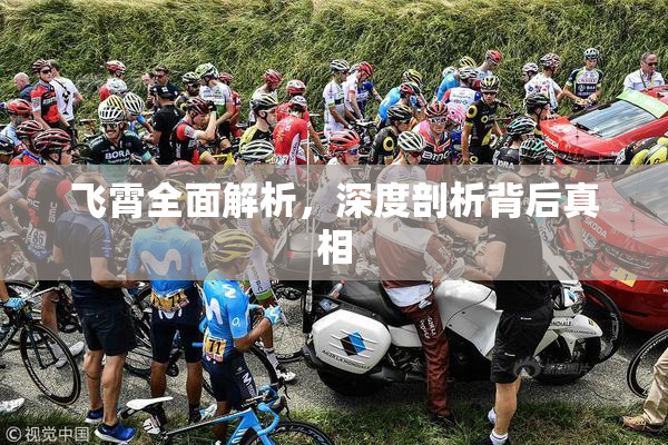 飞霄全面解析，深度剖析背后真相