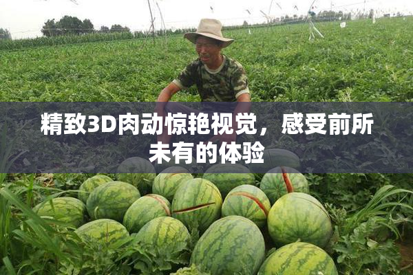 精致3D肉动惊艳视觉，感受前所未有的体验