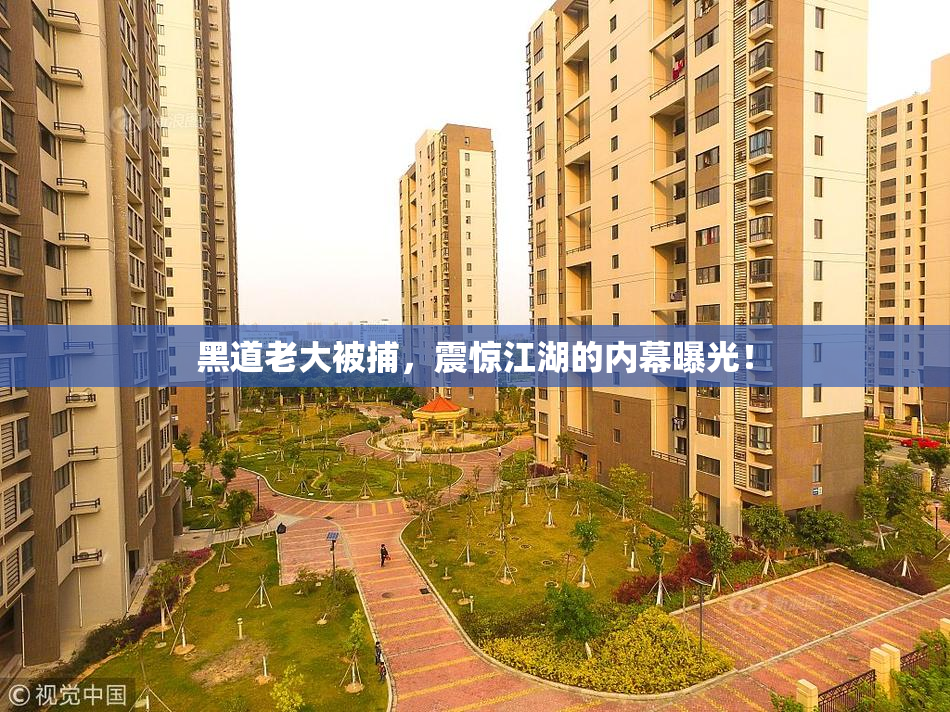 黑道老大被捕，震惊江湖的内幕曝光！