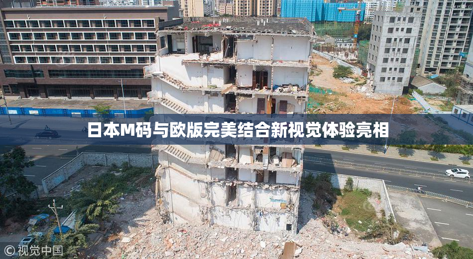 日本M码与欧版完美结合新视觉体验亮相