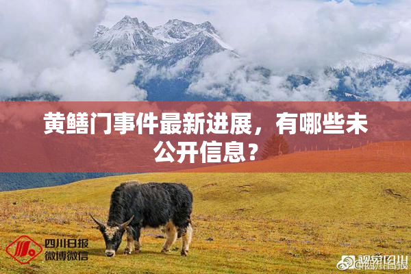 黄鳝门事件最新进展，有哪些未公开信息？