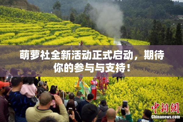 萌萝社全新活动正式启动，期待你的参与与支持！