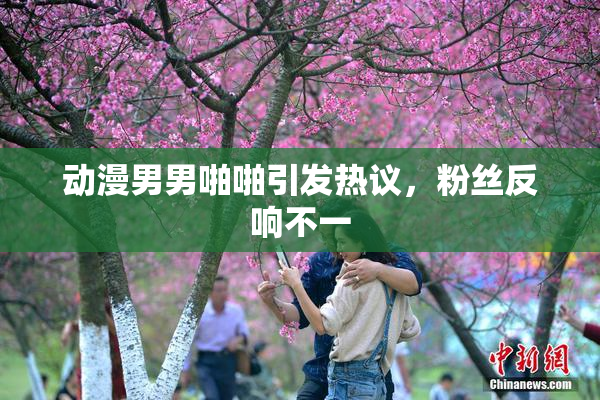 动漫男男啪啪引发热议，粉丝反响不一