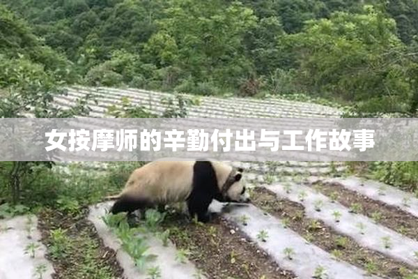女按摩师的辛勤付出与工作故事