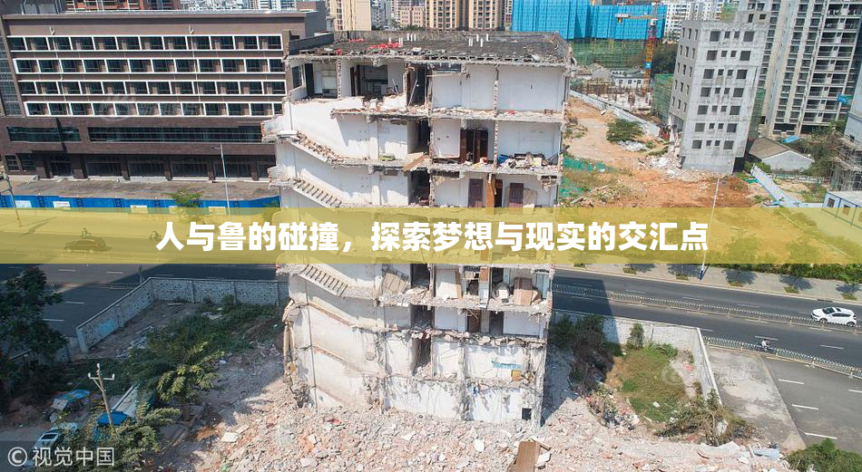 人与鲁的碰撞，探索梦想与现实的交汇点
