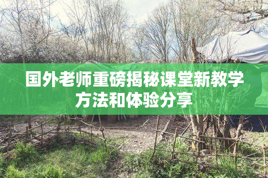 国外老师重磅揭秘课堂新教学方法和体验分享