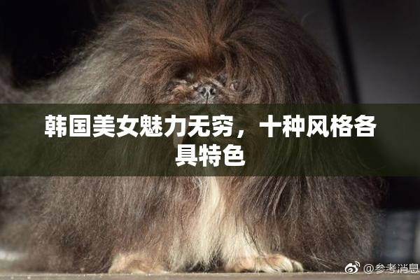 韩国美女魅力无穷，十种风格各具特色