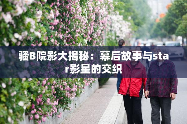骚B院影大揭秘：幕后故事与star影星的交织