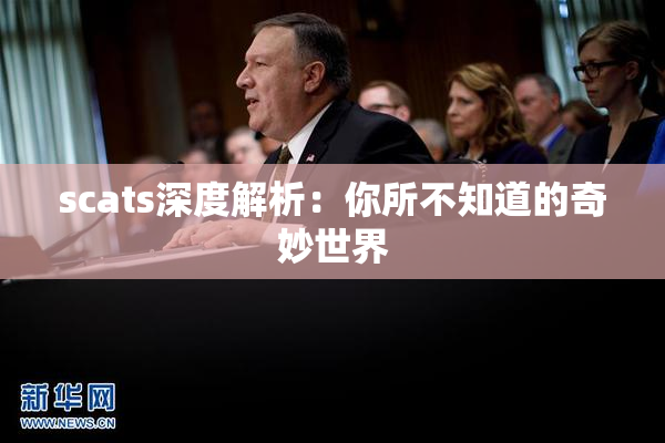 scats深度解析：你所不知道的奇妙世界