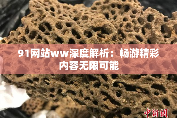 91网站ww深度解析：畅游精彩内容无限可能
