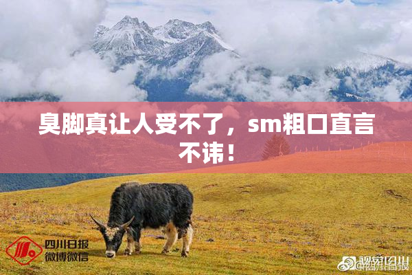 臭脚真让人受不了，sm粗口直言不讳！
