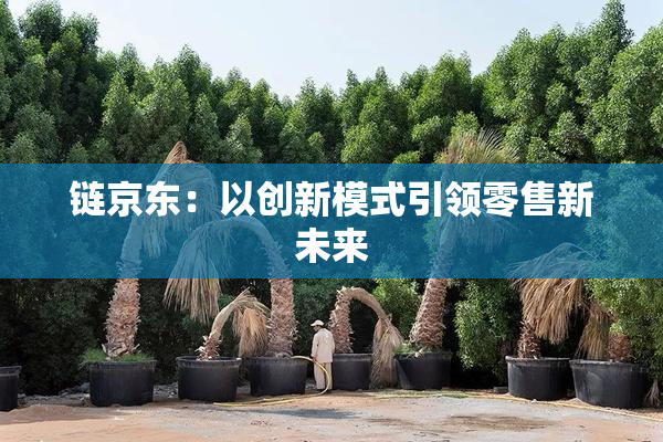 链京东：以创新模式引领零售新未来