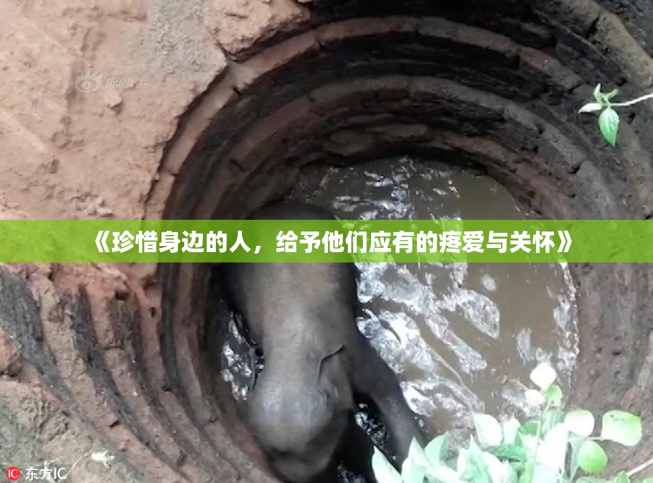 《珍惜身边的人，给予他们应有的疼爱与关怀》