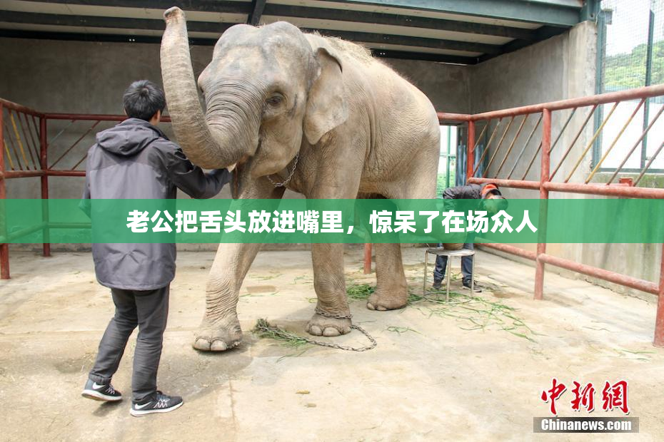 老公把舌头放进嘴里，惊呆了在场众人