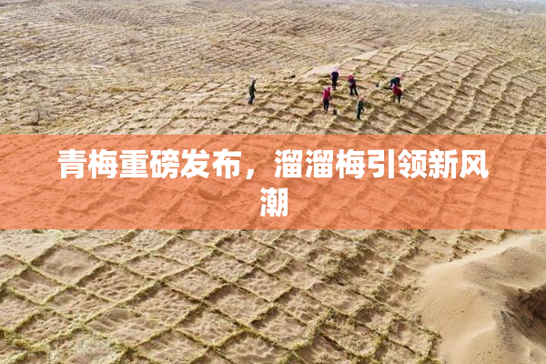 青梅重磅发布，溜溜梅引领新风潮