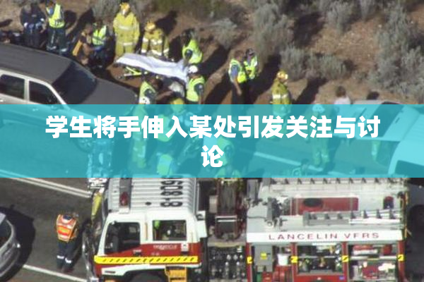 学生将手伸入某处引发关注与讨论