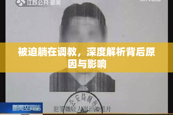 被迫躺在调教，深度解析背后原因与影响