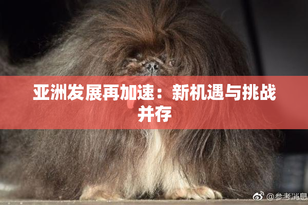 亚洲发展再加速：新机遇与挑战并存