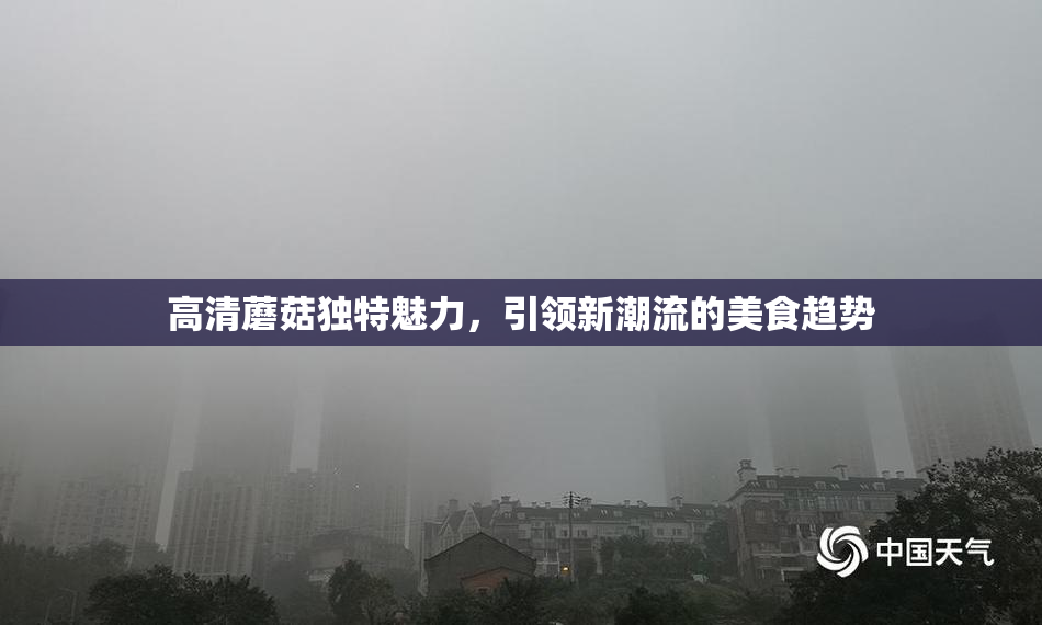 高清蘑菇独特魅力，引领新潮流的美食趋势