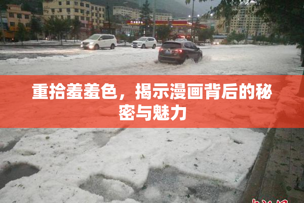 重拾羞羞色，揭示漫画背后的秘密与魅力