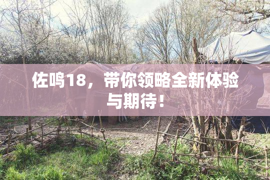 佐鸣18，带你领略全新体验与期待！