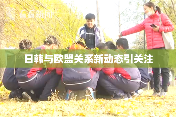 日韩与欧盟关系新动态引关注