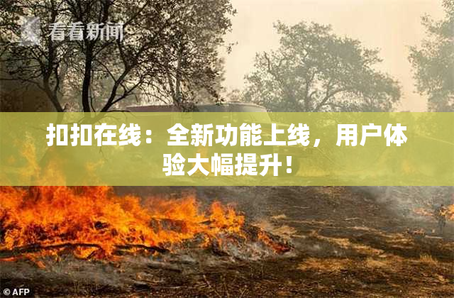 扣扣在线：全新功能上线，用户体验大幅提升！