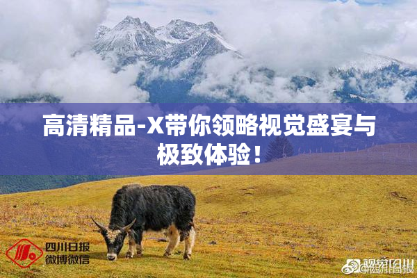 高清精品-X带你领略视觉盛宴与极致体验！