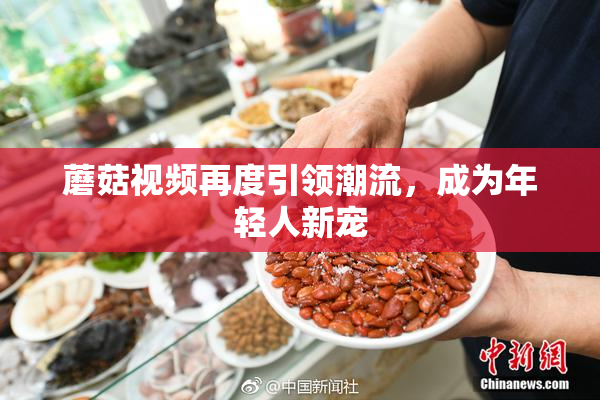 蘑菇视频再度引领潮流，成为年轻人新宠